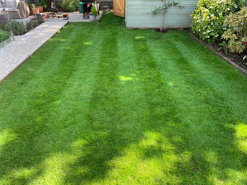 Allenwater Drive Fordingbridge Garden 6 weeks after lawn care package