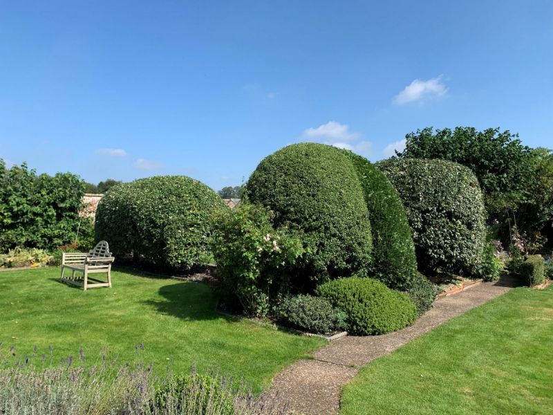 Hedge Trimg Pruning and Landscaped Gardens