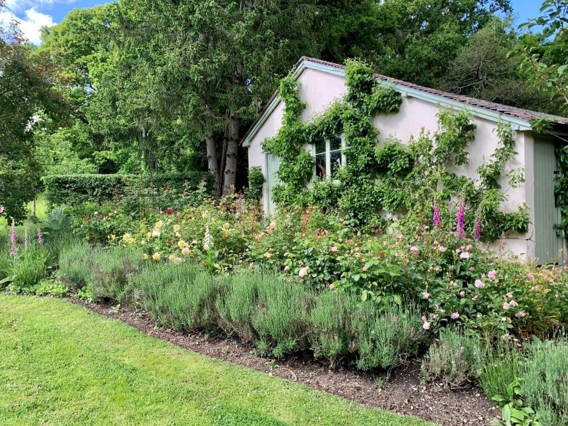 Rose Garden cog to life in summer. Foxgloves are left to promote cottage garden look