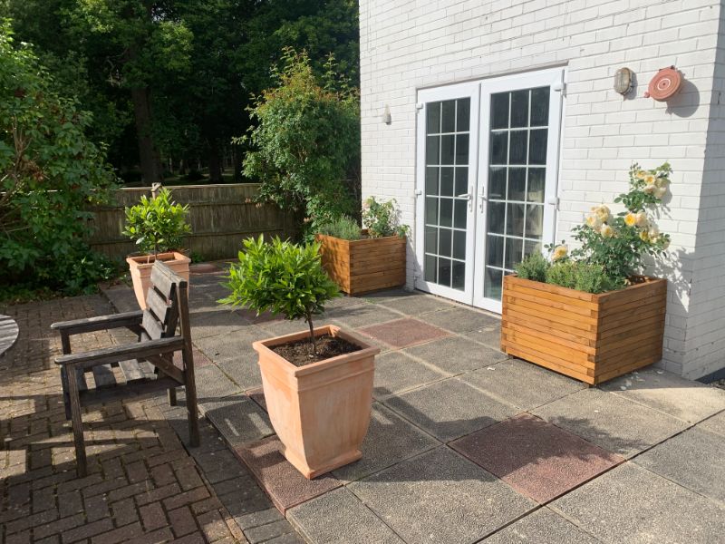 Brockenhurst The New Forest Custom planters containing David Austin climbing roses and French lavender